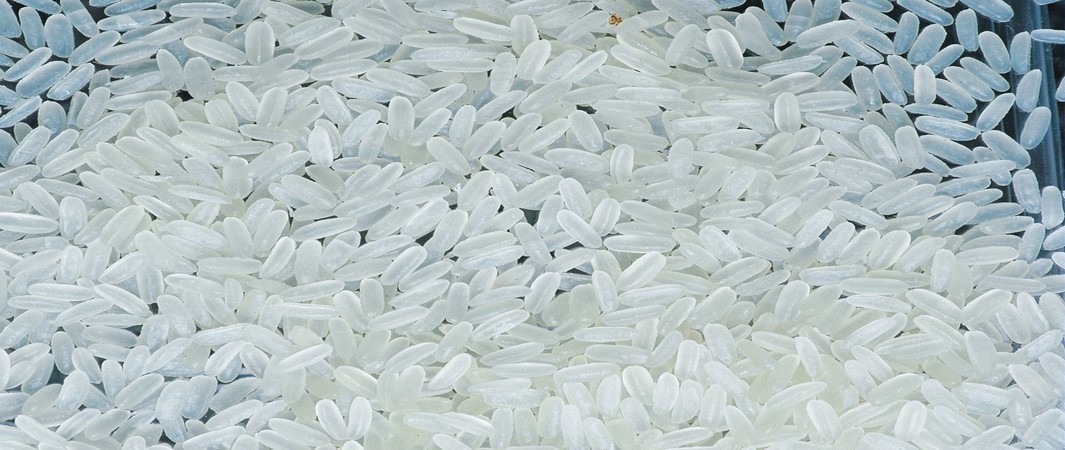 Parboil Rice 4