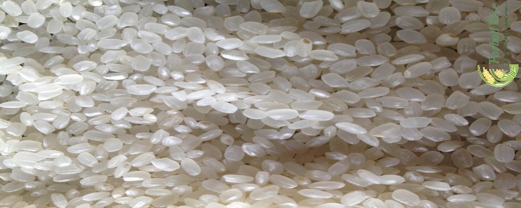 Parboiled Japonica Rice 1