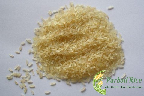 Thai Parboiled Rice 100% Sorted
